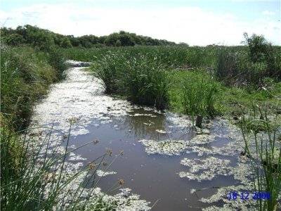 Piden agua potable para escuelas en riesgo de contaminaci n por